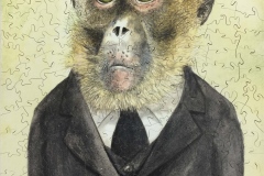303 Monkey Portrait