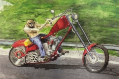 304 Monkey on a Hog